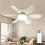Ventilador de Teto Externo À Prova D'Água Fanbulous de 42 Polegadas com Luzes, Controle Remoto e Motor CC de 6 Velocidades B 6