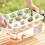 Practical All Purpose Plastic Propagation Case Grower Box-Green 5