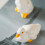 2 Ceramic Duck Designed Toilet Bolt Covers For-lying down 7