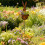 Rusty Rabbit Shape Metal Art Iron Easters Garden Stakes-1pcs 7