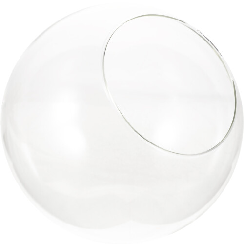 Glass Terrarium För Sukkulent Och Luftplanta