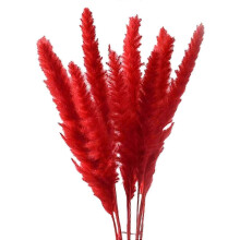 (Red) 15Pcs Dried Pampas Grass Reed Flowers for Vase Bunch Flower Arrangement for Party Boho Decoration