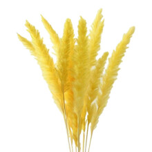 (Yellow) 15Pcs Dried Pampas Grass Reed Flowers for Vase Bunch Flower Arrangement for Party Boho Decoration