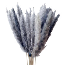 (Gray) 15Pcs Dried Pampas Grass Reed Flowers for Vase Bunch Flower Arrangement for Party Boho Decoration