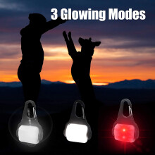 Luzes de LED luminosas para coleira de cachorro, recarregáveis via USB, ideais para camping.