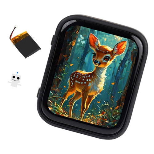 Development Board Kit with 1.8inch Touch AMOLEDs-Package C