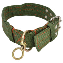 Coleira para cães pastores, coleira de transporte ajustável em lona, equipamento veterinário, tamanho P (4x66cm), para cães pastores de 10 a 35kg.