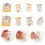 8 hamsterdecoratie van voor micro landschap 3