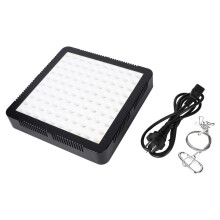 1000WLampe LED à spectre complet pour la croissance des plantes, éclairage d'appoint pour la culture des légumes en serre