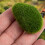 30pcs simulated moss stones artificial mossy balls for decoration 4