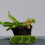 30pcs simulated moss stones artificial mossy balls for decoration 11