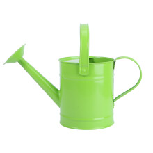 1Pc Light Green Metal Watering Kettle Portable Flower Gardening Tool