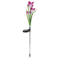 Luzes solares em formato de flor, à prova d'água, para jardim, pátio e quintal, na cor roxa.