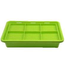 Podwójna Warstwa Taca Do Kiełkowania Beztlenowa PP 32x22 Cm Zielony