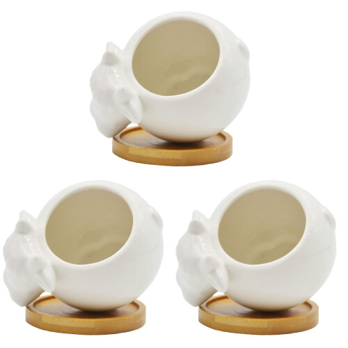 3Pcs Animal Style Ceramic Succulent Planter Pot for Home 1
