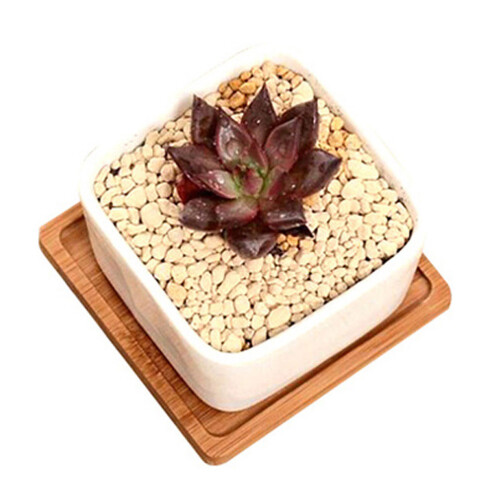 6Pcs Bamboo Square Tray Succulent Flowerpot Holder Decorative Storage 1