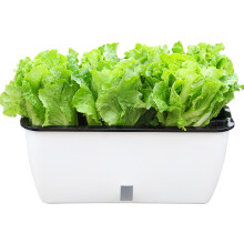 Home Planter Pots with Visual Water Level Window Self Absorbent Flower Pots for Herbs Vegetables Succulents Plants