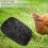 4Pcs Poultry Care Chicken Nesting Box Pads Black Sponge Cushioned Mats 8