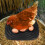 4Pcs Poultry Care Chicken Nesting Box Pads Black Sponge Cushioned Mats 9