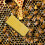 10Pcs Yellow Queen Bee Cage Durable Beekeeping Tool Accessory 7
