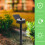 Garden Solar Light Solar Light Black 1set 10
