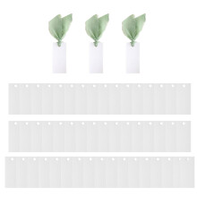 50Pieces Blank Cards And 3 Rolls Ribbon For Wedding Party-Green