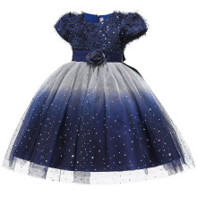 Paillettenbesetztes Tüllkleid, bauschig, mit Blumenmuster und Schleife, ideal für Geburtstagsfeiern von Kleinkindern (3-10 Jahre)