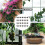 50Pcs Plastic Flowerpot Fertilizer Boxes For Bonsai 10