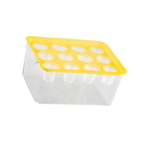 Hydroponic Grower Box Container For Home Vegetables-Yellow