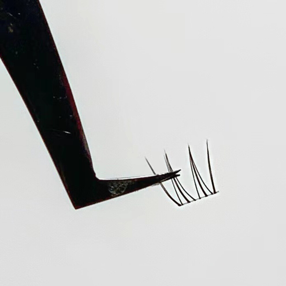 Hue-Grain (01) Lightweight Comic Eyelash Clusters For Daily Wear