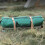 8Stk Verstellbare Taschenriemen Camping Gurtsets 5