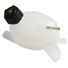 Réservoir D'Eau de Refroidissement Moteur 217100158R pour