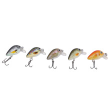 5 Pcs Realistic Mini Fishing Crankbaits