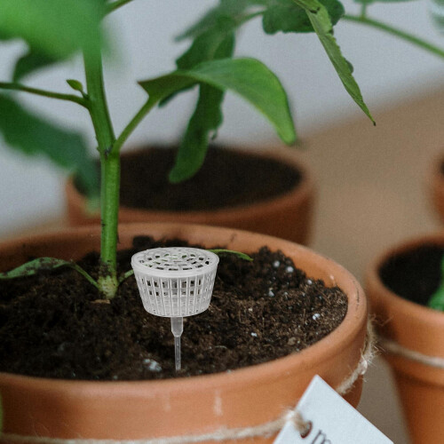 Cestino In Plastica Con Rete E Coperchio Per Concime Bonsai Orchidee 2