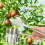 Durable Stainless Steel Fruit Tool Clip for Dates Picking 6