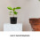 6Pcs Plastic Hydroponic Baskets For Aquatic Plants And Nursery Use 8
