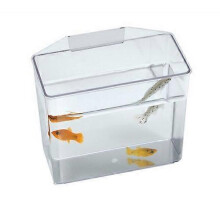 Lee's Break Resistant Specimen Container, Large - 7"L x 3.25"W x 6"H (Pack of 1)