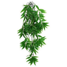 Komodo Bamboo Hanging Plant, 1 Each/LG, 26 in