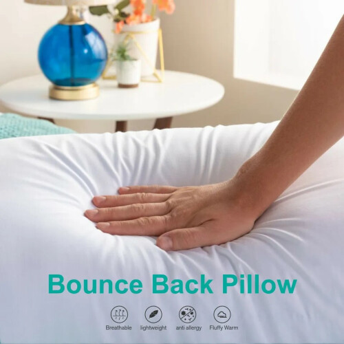 (2X Bounce Back Pillows) Quilted Mattress Protector 30cm Deep - Single, Double, King, Super King 1