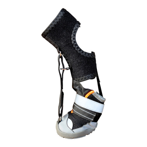 Protective Dog Boot With Elastics Belt Dog Boot Recovery,Shoe-M