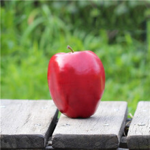 36 Falsi Frutti Artificiali Mele Realisticamente Decorazioni Cucina Simulare Ancora la Vita Nel Casa Decorazione Rossa