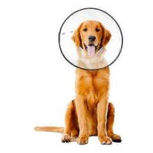 ZenPet E-Clear Plastic Recovery Collar, 1 Each / Large