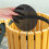 filtres ronds pour bac à compost de cuisine, 6 pièces 4
