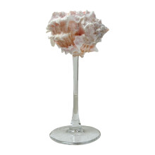 Cupán Gloine Champagne Conch Shell, Goblet, Earraí Deoch Cóctaile, Cupán Champagne, Bronntanais Gloiní Bainise Lámhdhéanta Uathúla Gleoite do