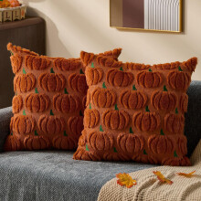 Fodere per cuscini autunnali 45x45 cm, set da 2, zucca color ruggine in peluche