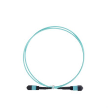 100G MPO Multimode Fiber Patch Cable 12 Core Female to Female Type B Speed Trunk Cable 10M