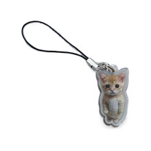 Chain Students Funny Charm Pendant Lanyard Strap Keychain Ornament for Car Keys Bag Backpacks