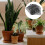 3St Plastic Potgrondbescherming Raster Kat Hond Stopper 2