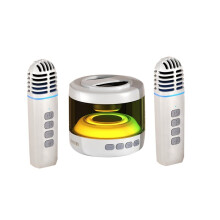 Magnetische Karaoke -Microfoonluidspreker voor Thuisgebruik, Wit