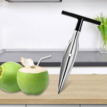 Outil d'ouverture en acier inoxydable - Ouvre-noix de coco facile à utiliser, accessoire de camping et de cuisine